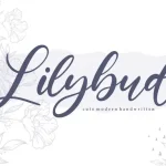 Lilybud Modern Handwritten Font