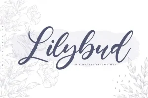 Lilybud Modern Handwritten Font