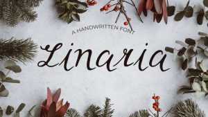 Linaria Font › Fontesk