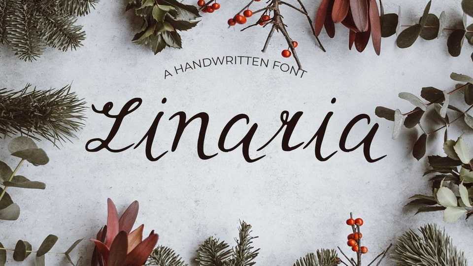 Linaria Font › Fontesk