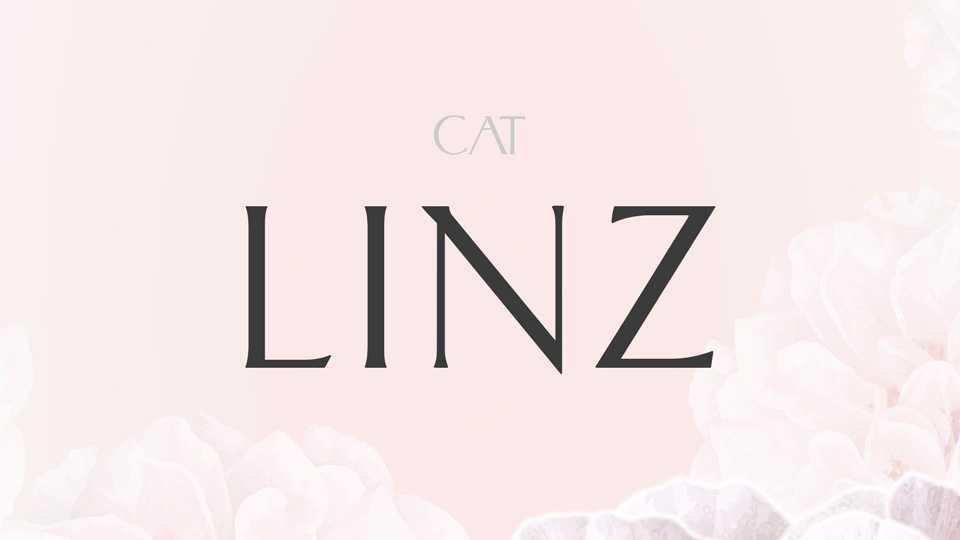 Linz Font › Fontesk