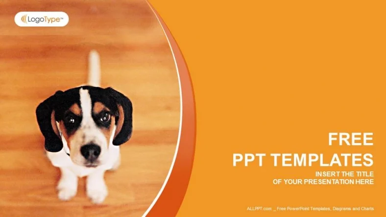 Little Dog-Nature PowerPoint Templates