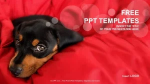 Little Dog-Nature PPT Templates