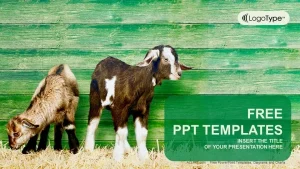 Little goats PowerPoint Templates