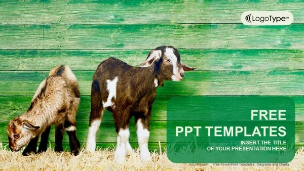 Little goats PowerPoint Templates