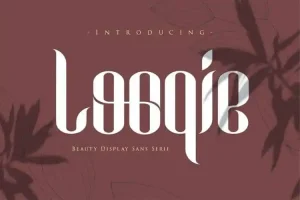 Looqie Display Font