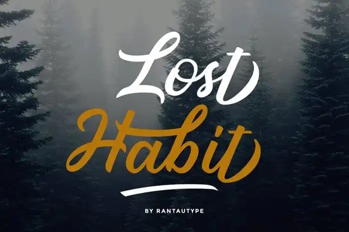 Lost Habit Calligraphy Font