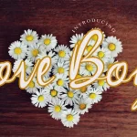 Love Boy Script Font