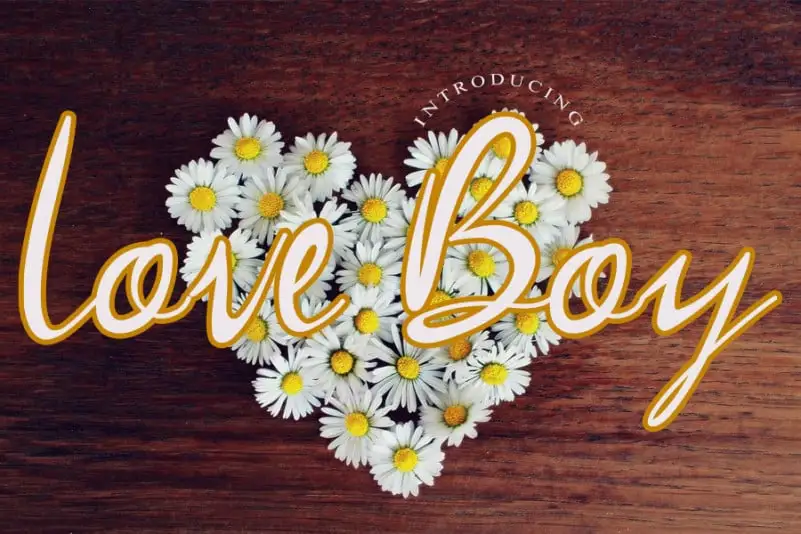 Love Boy Script Font
