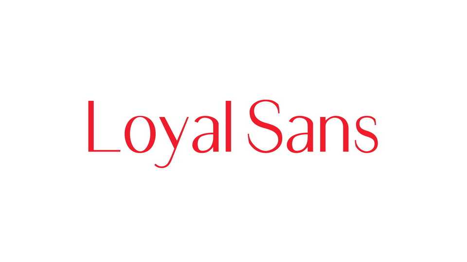 Loyal Sans Font Family › Fontesk