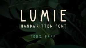 Lumie Font › Fontesk