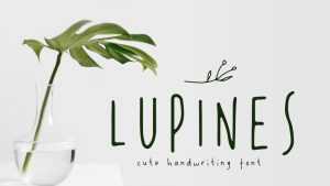 Lupines Font › Fontesk