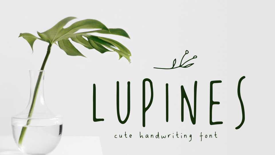Lupines Font › Fontesk
