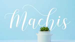 Machis Font › Fontesk