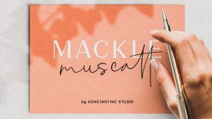 Mackle Script Font › Fontesk