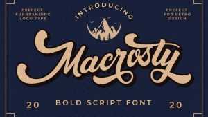 Macrosty Script Font › Fontesk