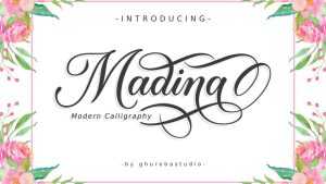 Madina Script Font › Fontesk