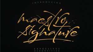Maestro Signature Script Font › Fontesk