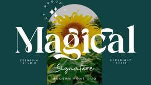 Magical Signature Font › Fontesk