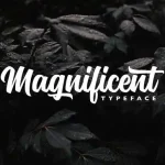 Magnificent Script Font