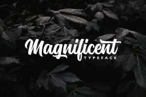 Magnificent Script Font