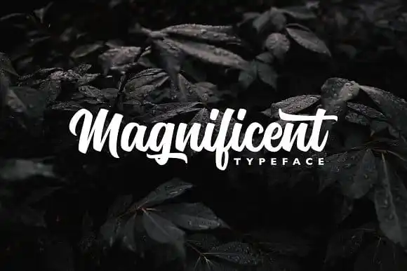 Magnificent Script Font