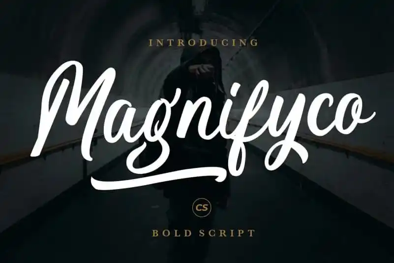 Magnifyco Brush Font