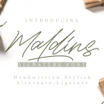 Maldins - Stylish Signature Font