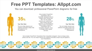 Male female ratio PowerPoint Diagram Template