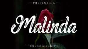 Malinda Script Font › Fontesk