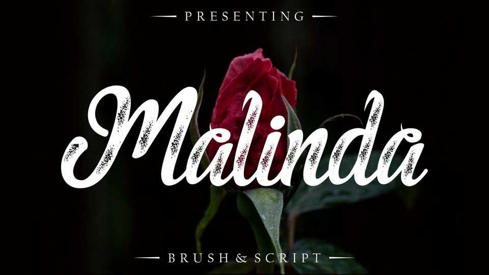 Malinda Script Font › Fontesk