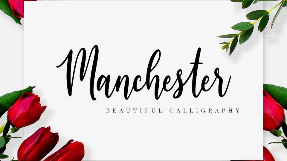 Manchester Script Font › Fontesk