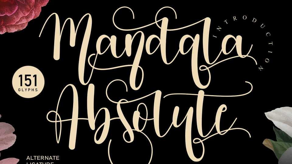 Mandala Absolute Font › Fontesk