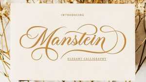 Manstein Script Font › Fontesk