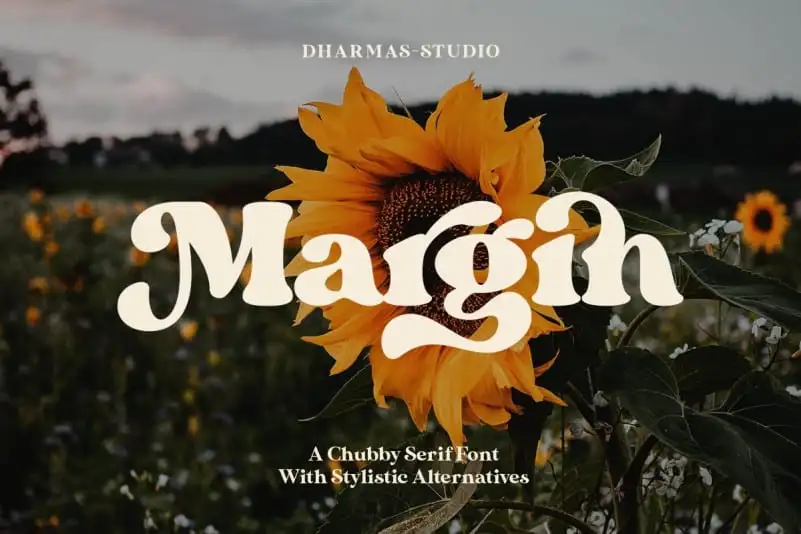 Margin Serif Font