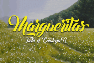 Margueritas Font