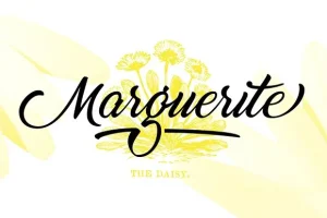 Marguerite Font