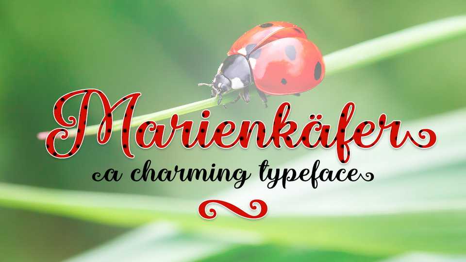 Marienkaefer Font › Fontesk