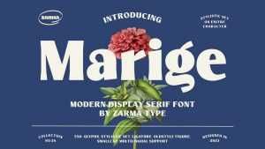 Marige Font › Fontesk