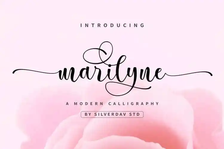 Marilyne Calligraphy Font