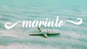 Marinto Script › Fontesk
