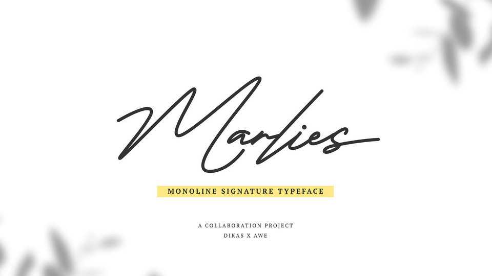 Marlies Monoline Script Font › Fontesk