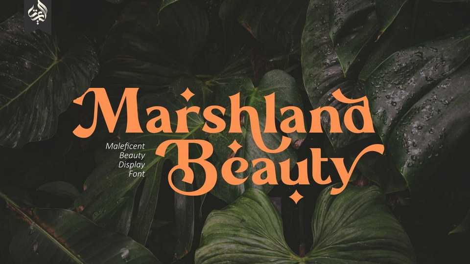 Marshland Beauty Font › Fontesk