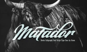Matador font