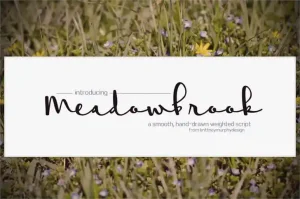 Meadowbrook Font