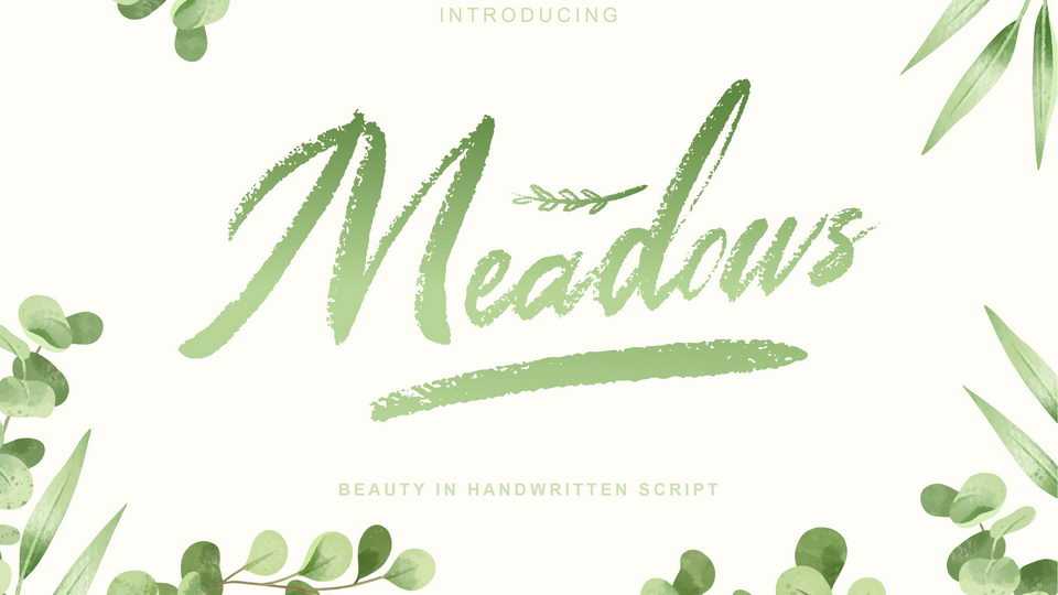 Meadows Font › Fontesk
