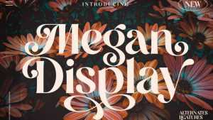 Megan Display Font › Fontesk