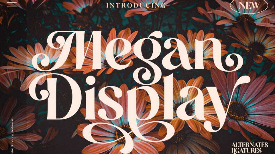 Megan Display Font › Fontesk