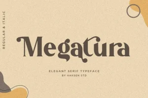 Megatura Sans Serif Font