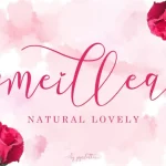 Meillea Calligraphy Font